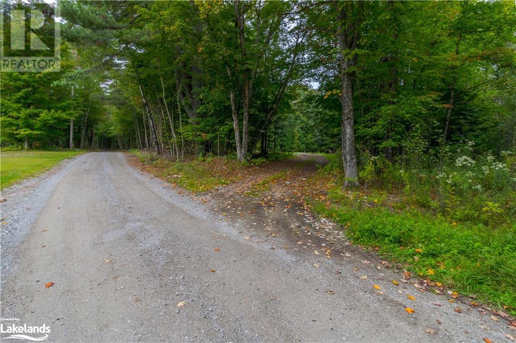 0 Soyers Lake Road, Minden, Ontario  K0M 2K0 - Photo 1 - 40482331