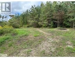 6696 33/34 NOTTAWASAGA Side Road