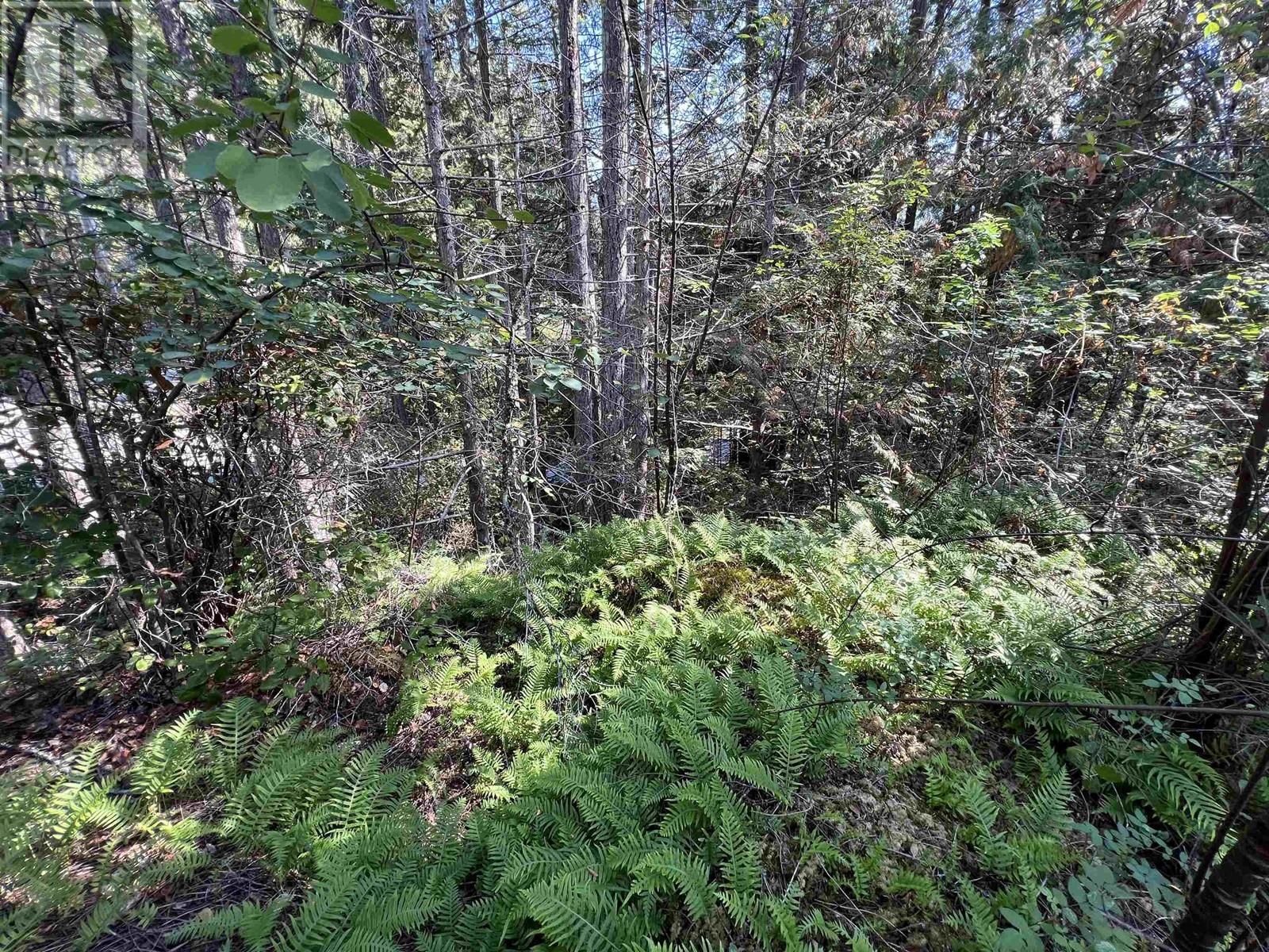 Lot 21 Sechelt Inlet Road, Sechelt, British Columbia  V7Z 0C9 - Photo 11 - R2816229