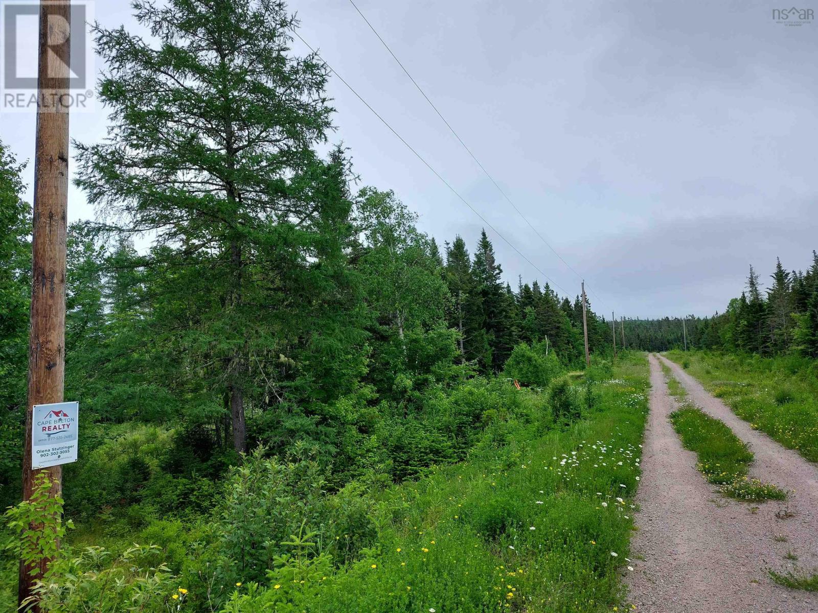 Lot 14 Jonathan R Bouman Lane, Evanston, Nova Scotia  B0E 1J0 - Photo 5 - 202313427