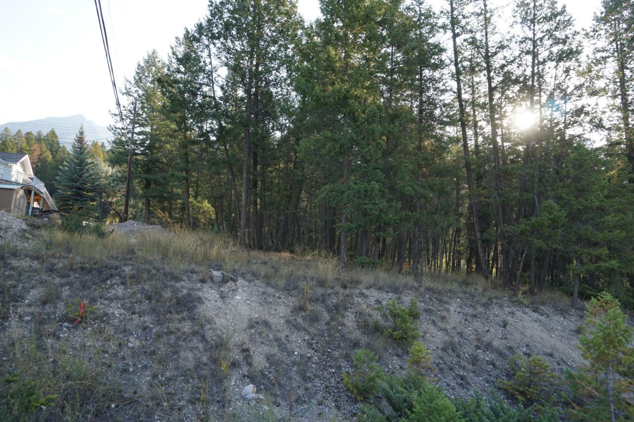 Lot 42 Mountain View Drive, Fairmont Hot Springs, British Columbia  V0B 1L1 - Photo 4 - 2473309