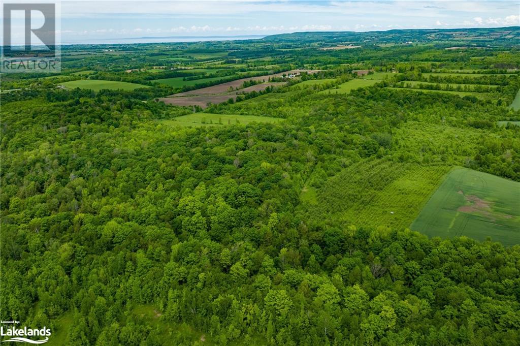 355824 The Blue Mountains-Euphrasia Townline, Grey Highlands, Ontario  N0H 1J0 - Photo 8 - 40485667