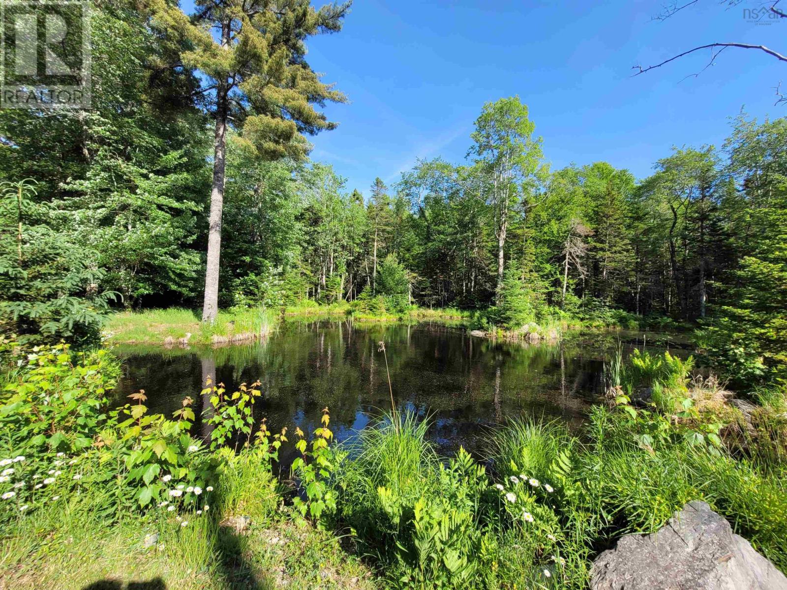 29 Duck Pond Drive, Westfield, Nova Scotia  B0R 1H0 - Photo 18 - 202319666