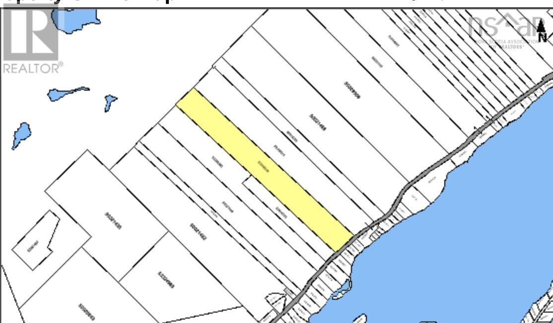 Marble Mountain Road, Lime Hill, Nova Scotia  B0E 3K0 - Photo 4 - 202319826