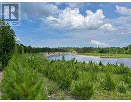 Lot 99-1 Red Pine Lane