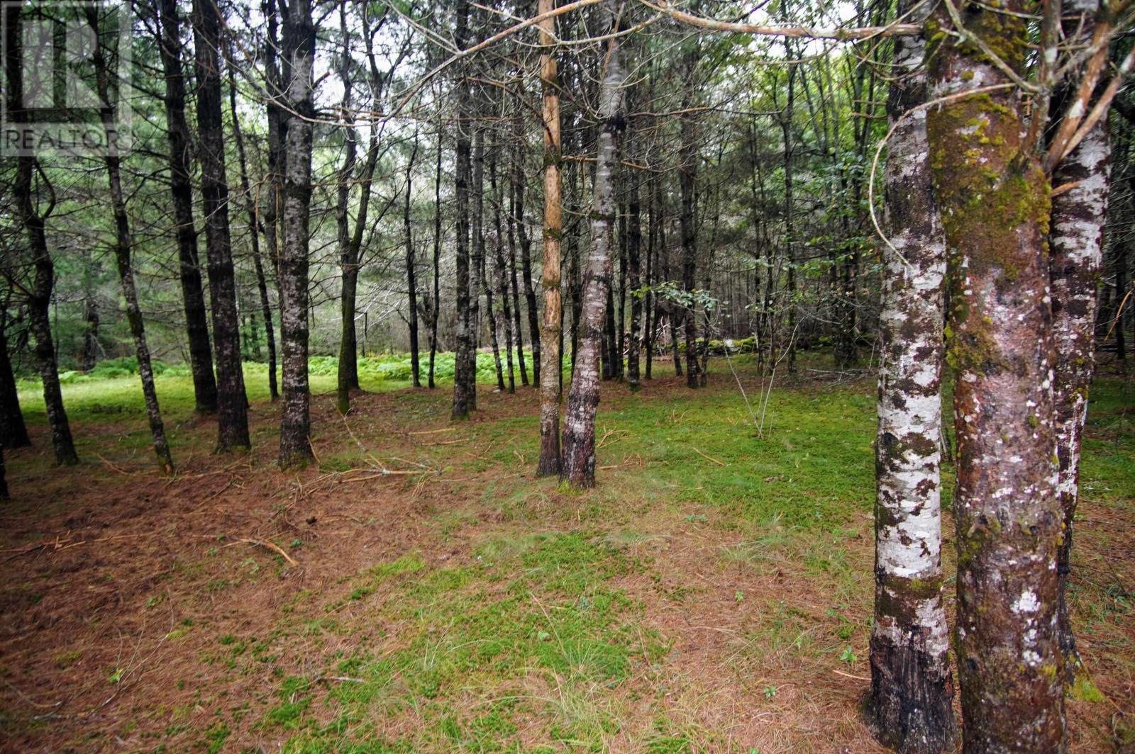 135 Whites Hill Road, Upper Clyde River, Nova Scotia  B0T 1W0 - Photo 11 - 202319821