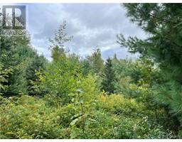 2 acres Craigville Road