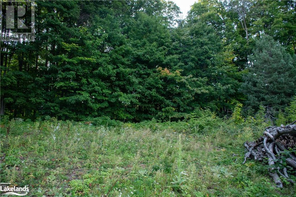 Lot 12 Lakeview Crescent, Tiny, Ontario  L9M 1R2 - Photo 7 - 40485695