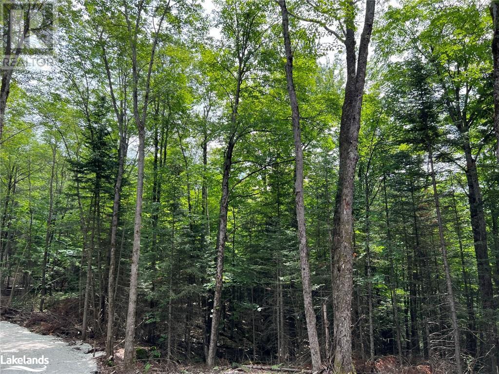 Lot 26 West Court, Haliburton, Ontario  K0M 1S0 - Photo 3 - 40489271