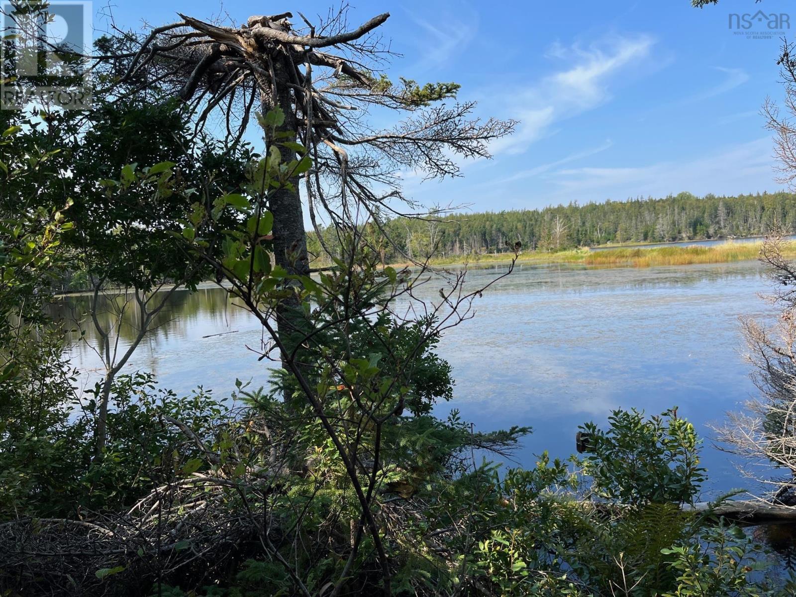 3552 Washabuck Road, Upper Washabuck, Nova Scotia  B2C 1M2 - Photo 23 - 202320113