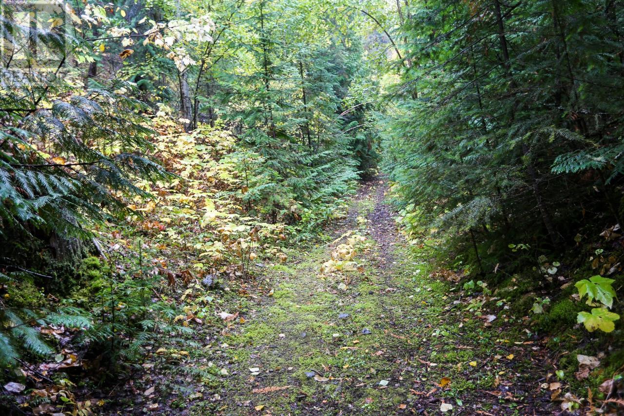 3196 Glengrove Place, Barriere, British Columbia  V0E 2E0 - Photo 45 - 175077