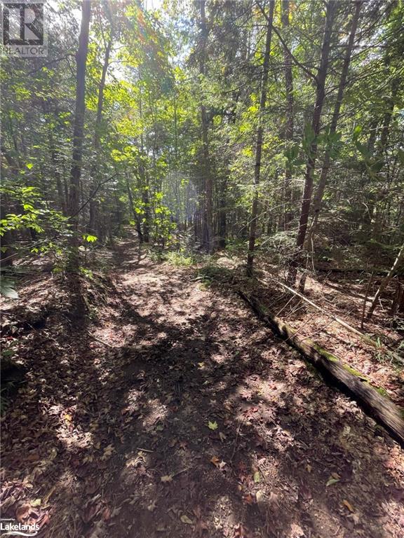 0 Hekkla Road, Rosseau, Ontario  P0C 1J0 - Photo 27 - 40485796