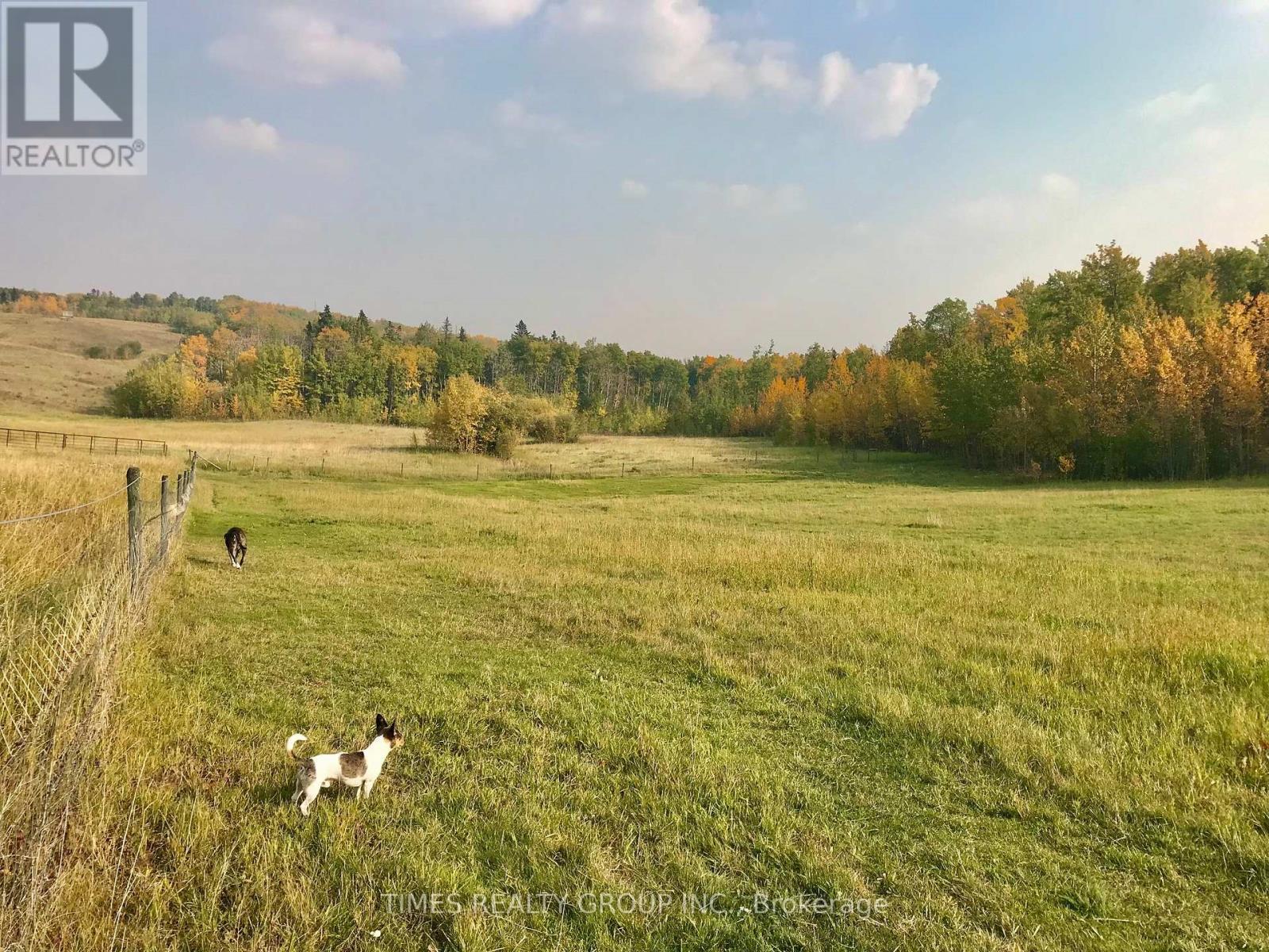 743001 Range Road 51, Webster, Alberta  T0H 3C0 - Photo 31 - X7031446