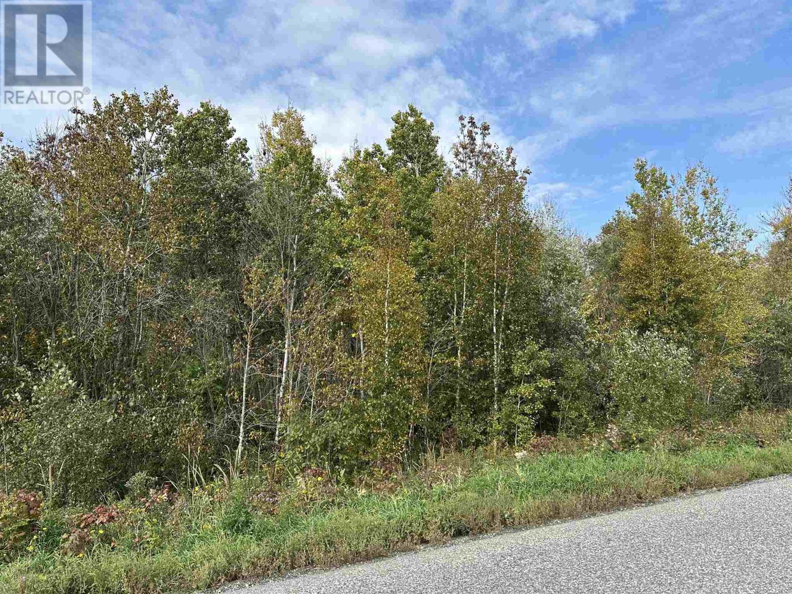 Part 1 Lots 25&26, 48r4578, Alberton, Ontario  P9A 3M2 - Photo 3 - TB232951