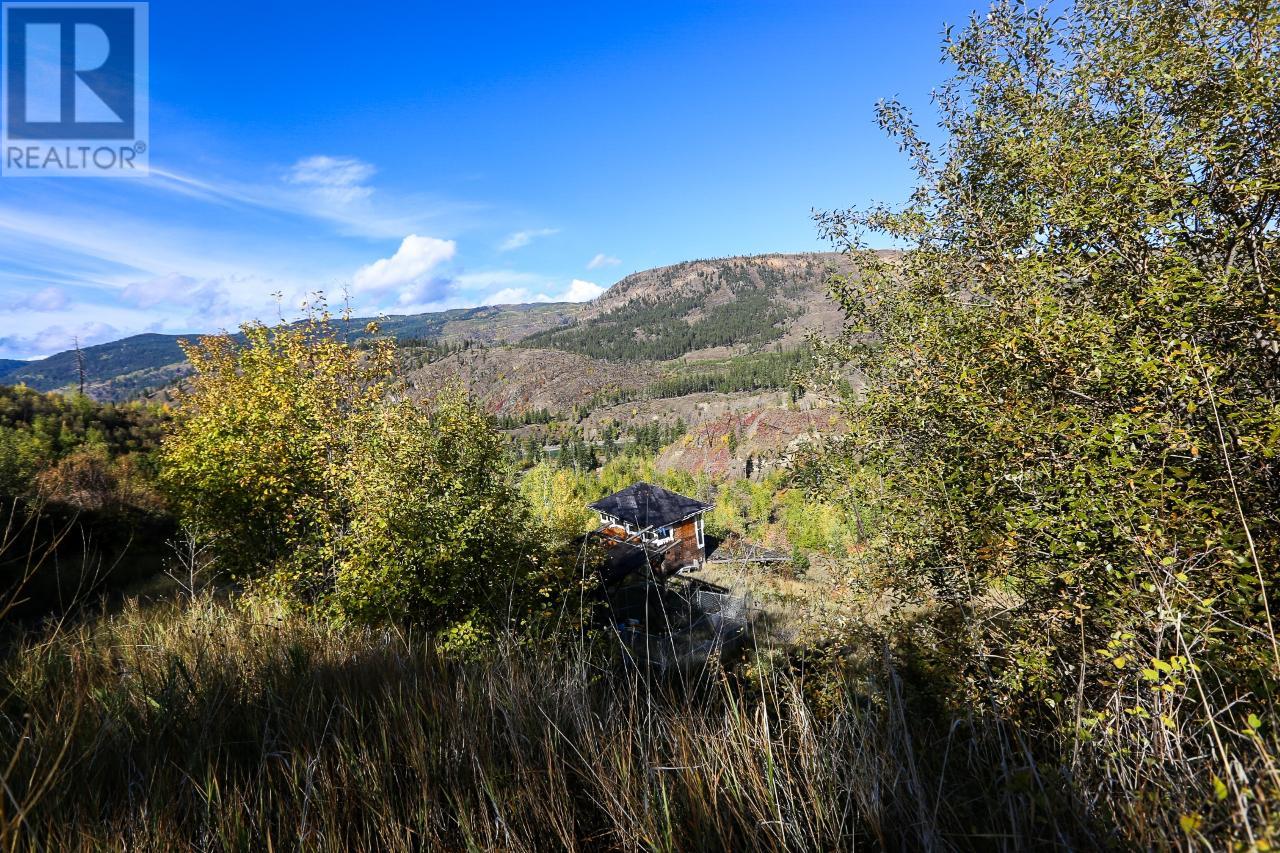 481 Clough Road, Mclure/vinsula, British Columbia  V0E 2H0 - Photo 12 - 175087