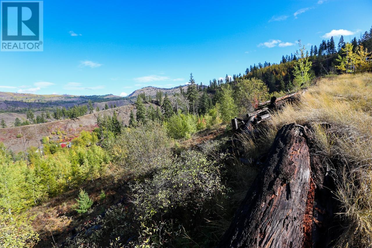 481 Clough Road, Mclure/vinsula, British Columbia  V0E 2H0 - Photo 3 - 175087