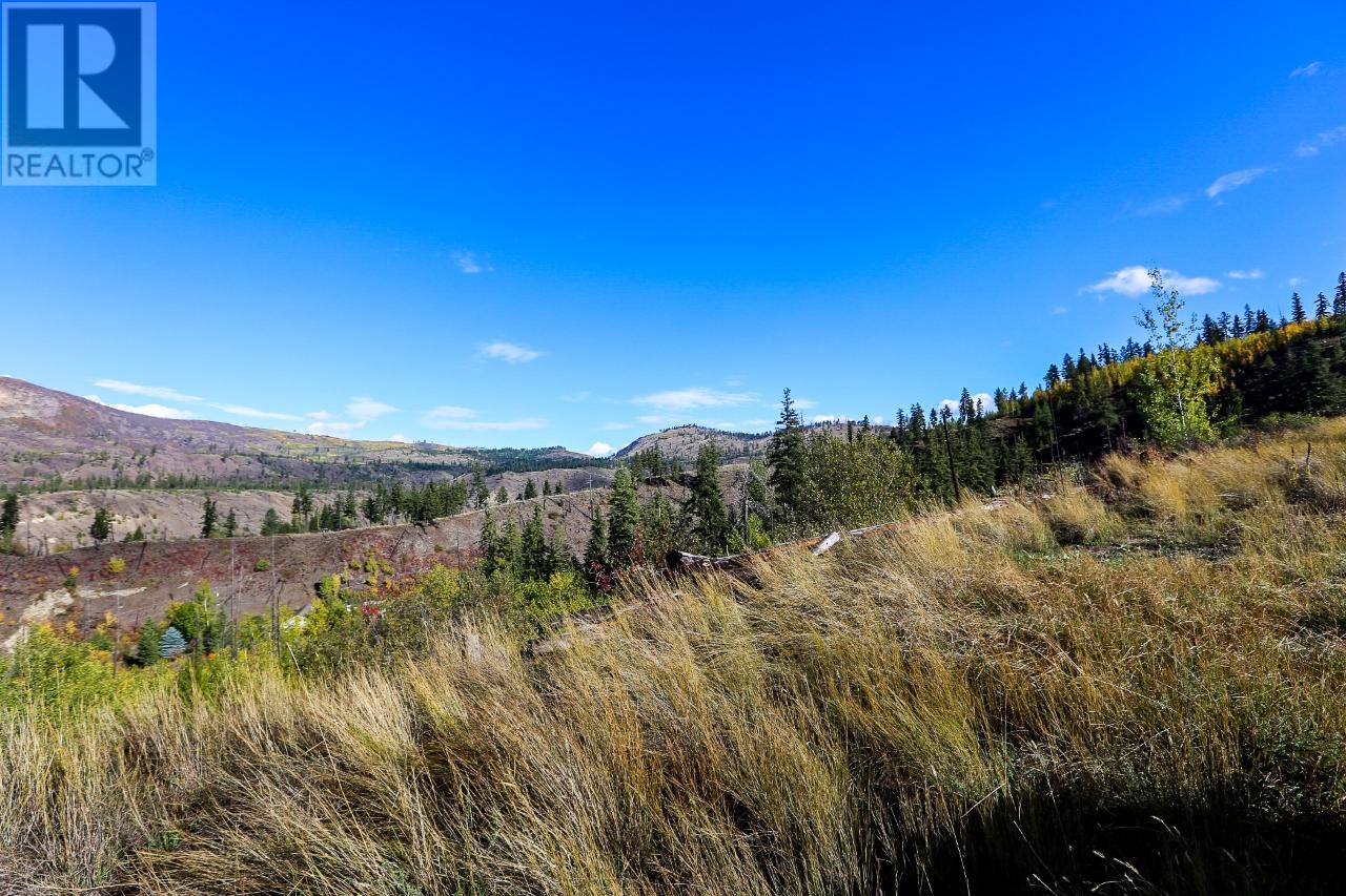 481 Clough Road, Mclure/vinsula, British Columbia  V0E 2H0 - Photo 6 - 175087