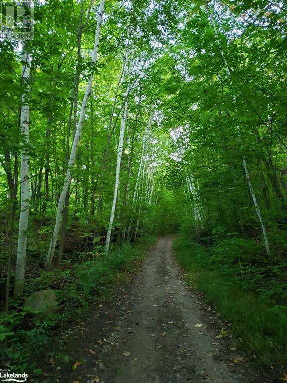 11b Salt Dock Road Unit# 102, Parry Sound, Ontario  P2A 3B6 - Photo 24 - 40490856