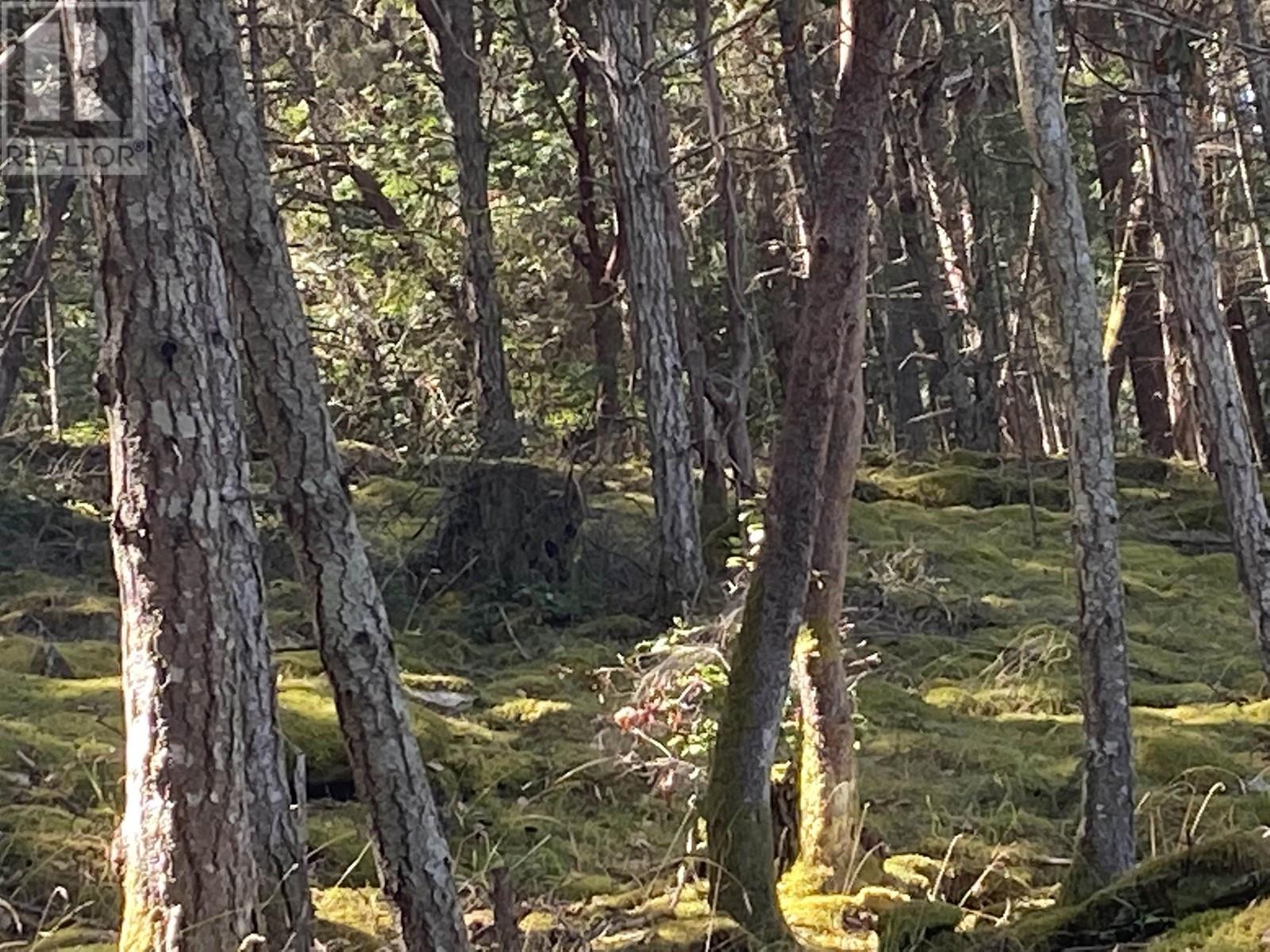 582 Ridge Road, Galiano Island, British Columbia  V0N 1P0 - Photo 2 - R2818055