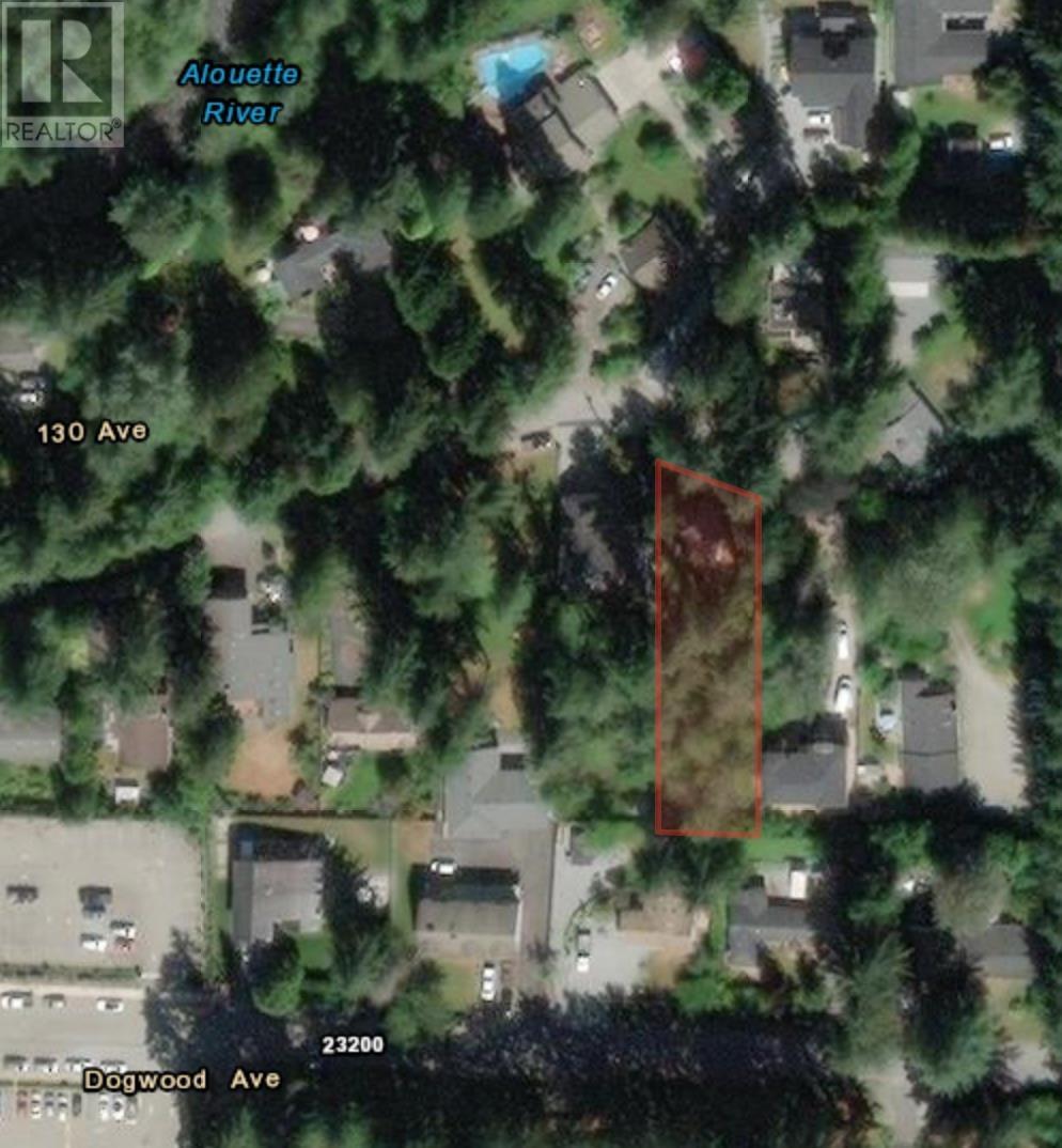 23280 130 Avenue, Maple Ridge, British Columbia  V2X 4S6 - Photo 14 - R2819565
