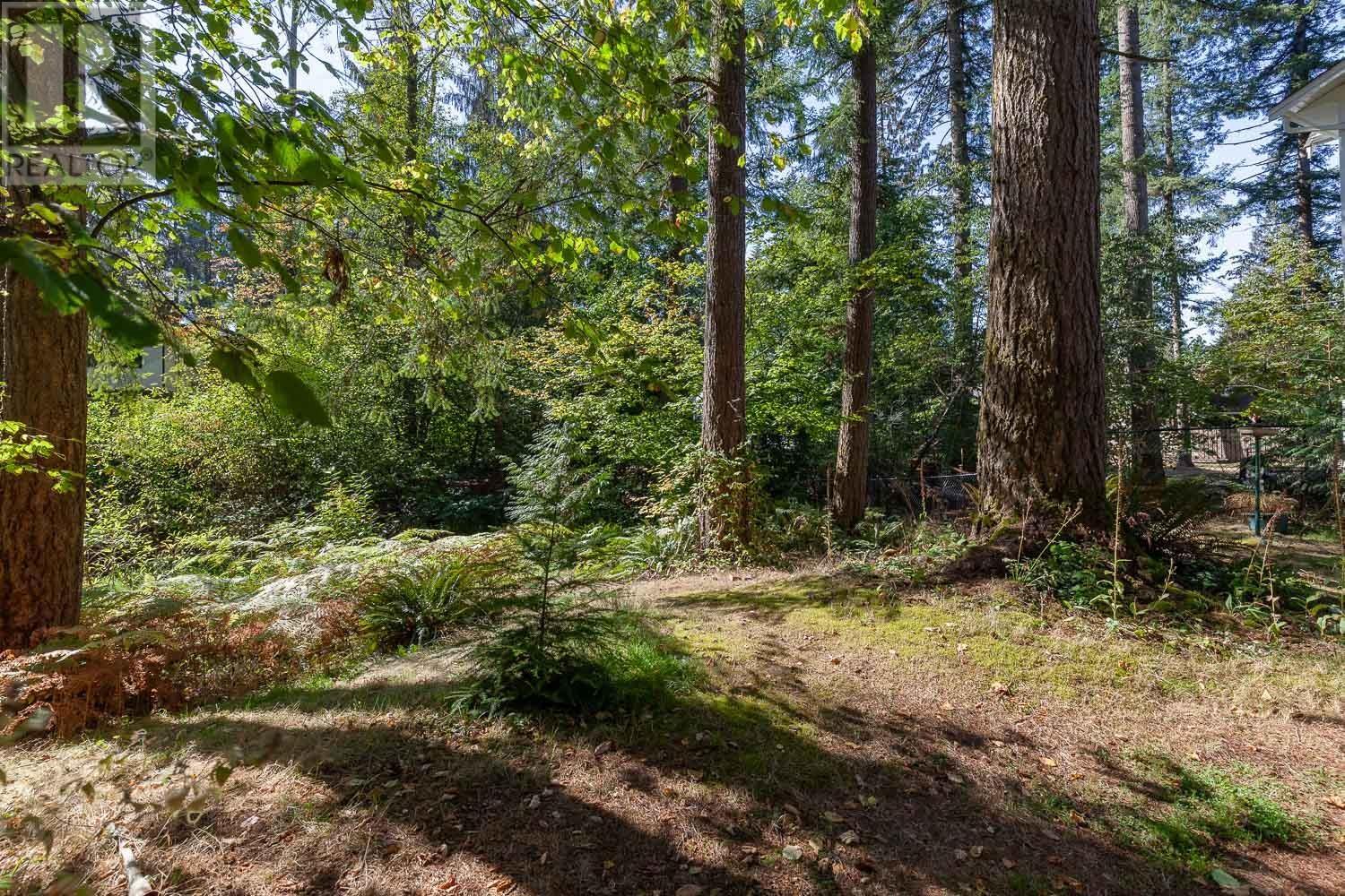 23280 130 Avenue, Maple Ridge, British Columbia  V2X 4S6 - Photo 4 - R2819565