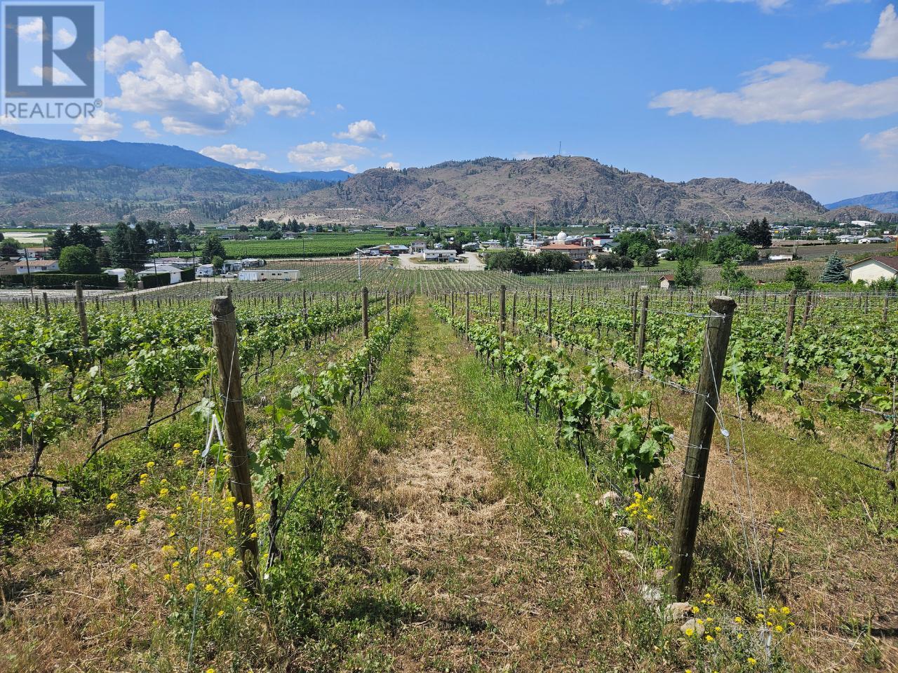 5698 Rabbit Brush Street, Oliver, British Columbia  V0H 1T9 - Photo 4 - 201293