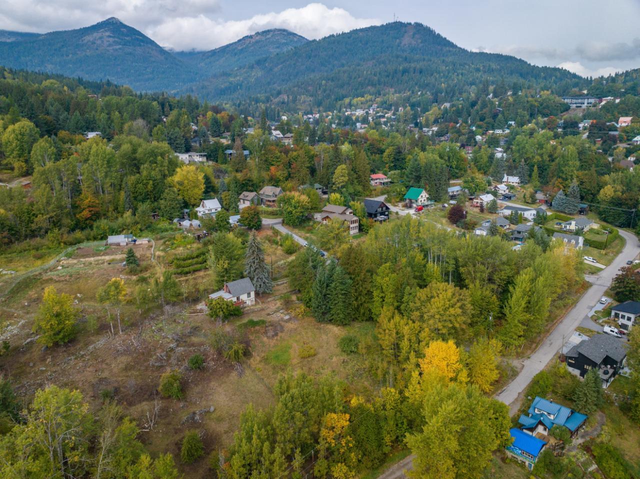 2007 Princess Avenue, Rossland, British Columbia  V0G 1Y0 - Photo 68 - 2473455