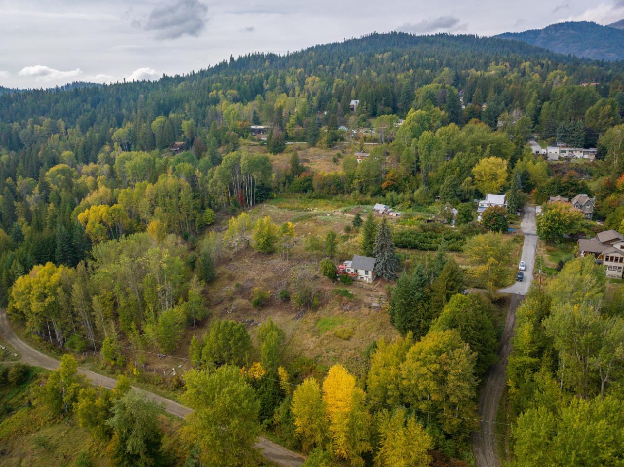 2007 Princess Avenue, Rossland, British Columbia  V0G 1Y0 - Photo 69 - 2473455