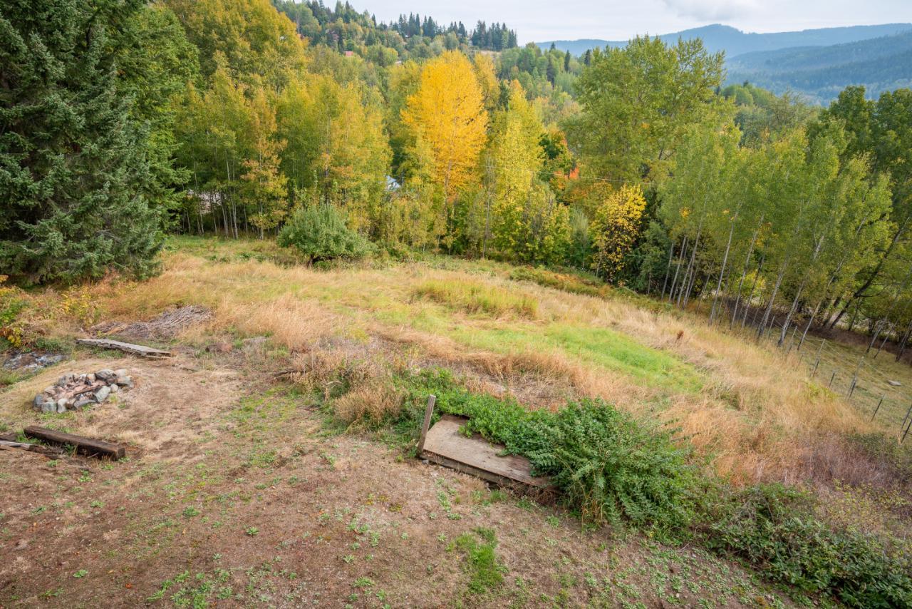 2007 Princess Avenue, Rossland, British Columbia  V0G 1Y0 - Photo 63 - 2473455