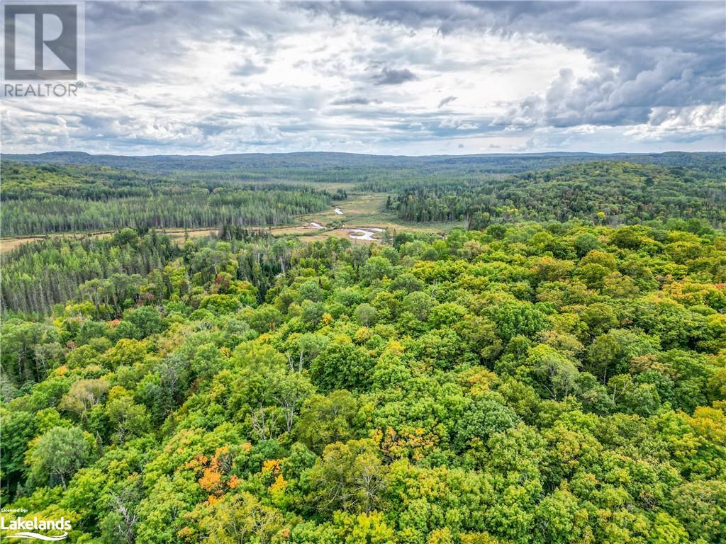 1000 Garage Road, Burk's Falls, Ontario  P0A 1C0 - Photo 1 - 40481391