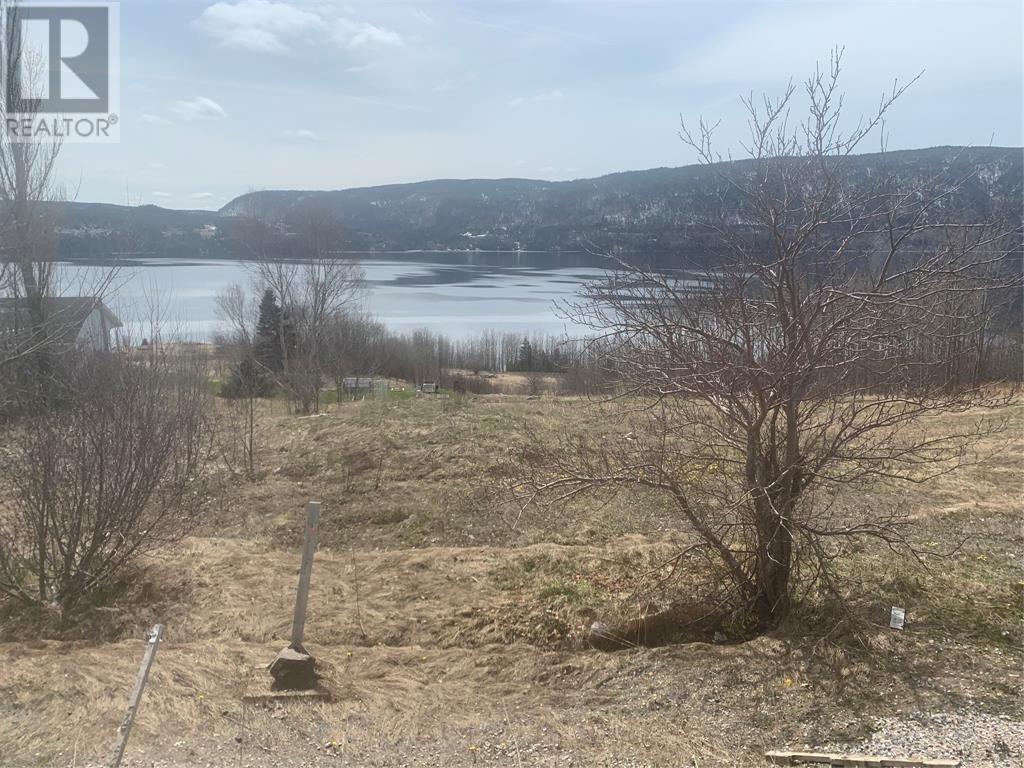 163 North Shore Road, Meadows, Newfoundland & Labrador  A2H 6B9 - Photo 6 - 1263984