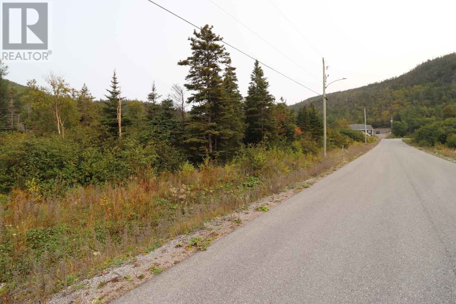 11 Hollands Memorial, Norris Point, A0K3V0, ,Vacant land,For sale,Hollands Memorial,1263623