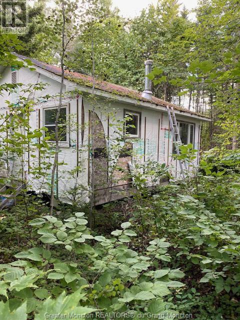 Camp Berry Rd, Elgin, New Brunswick  E4Z 2R9 - Photo 1 - M155248
