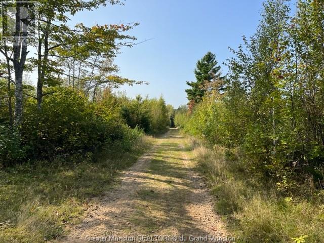 Camp Berry Rd, Elgin, New Brunswick  E4Z 2R9 - Photo 13 - M155248