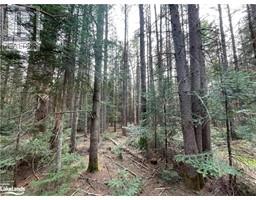 PART LOT 28 BORDEAU Road