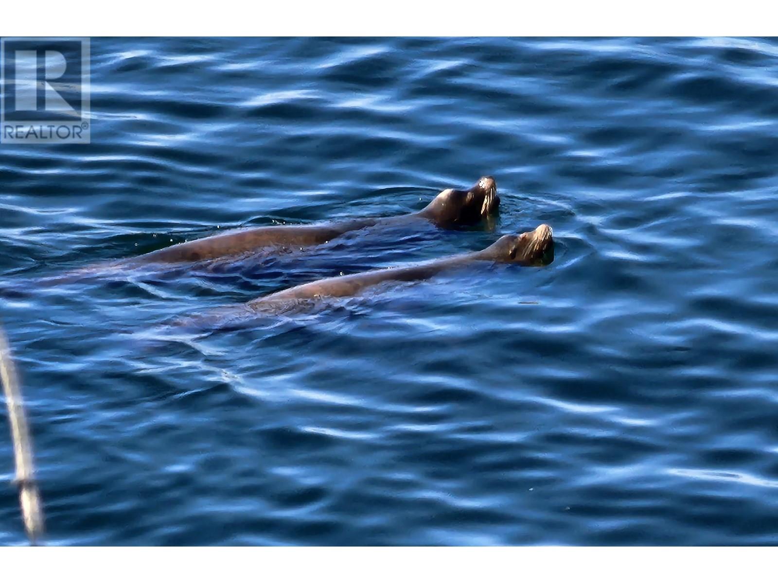 315 Deacon Lane, Galiano Island, British Columbia  V0N 1P0 - Photo 9 - R2820072