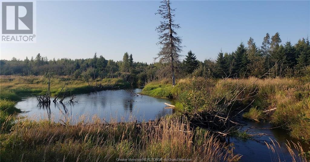 Lot Saint Charles, Saint-Charles, New Brunswick  E4W 4W7 - Photo 10 - M155447