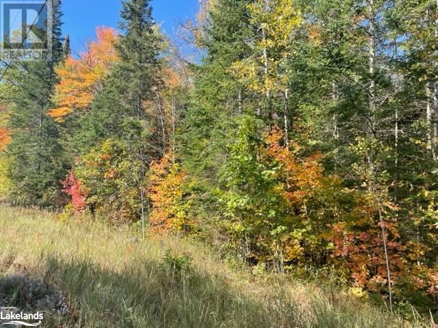 0 haliburton lake road, haliburton