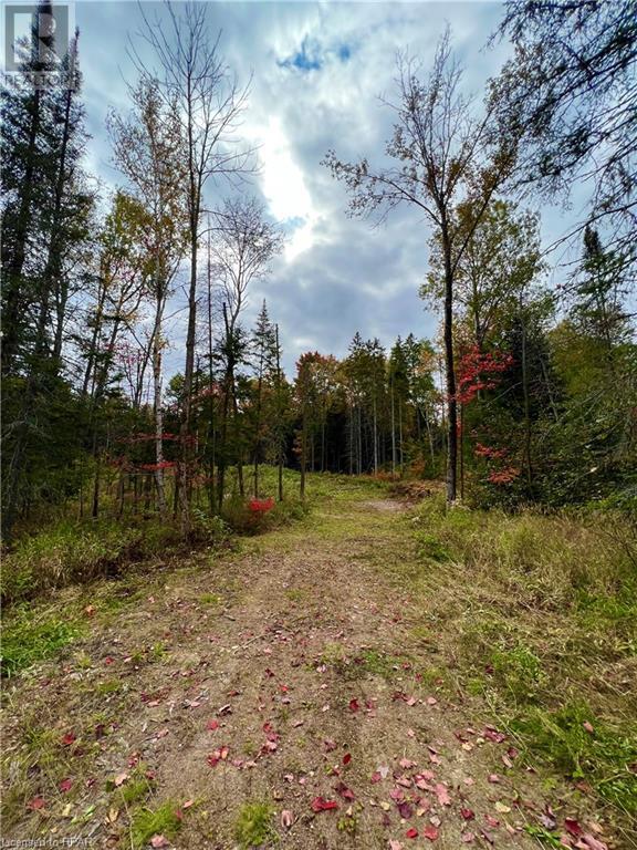 1759 Alsace Road, Nipissing, Ontario  P0H 1Z0 - Photo 1 - X10780753