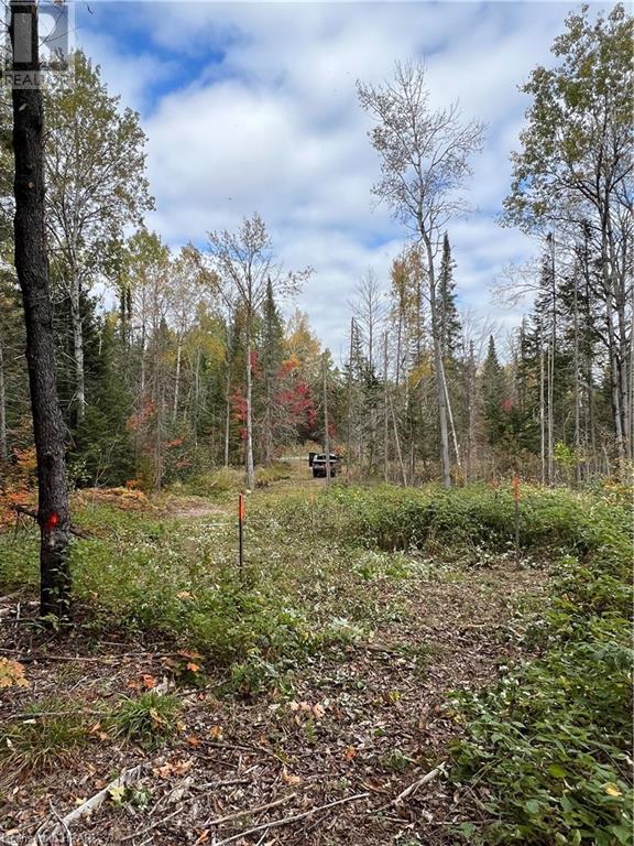 1759 Alsace Road, Nipissing, Ontario  P0H 1Z0 - Photo 14 - X10780753