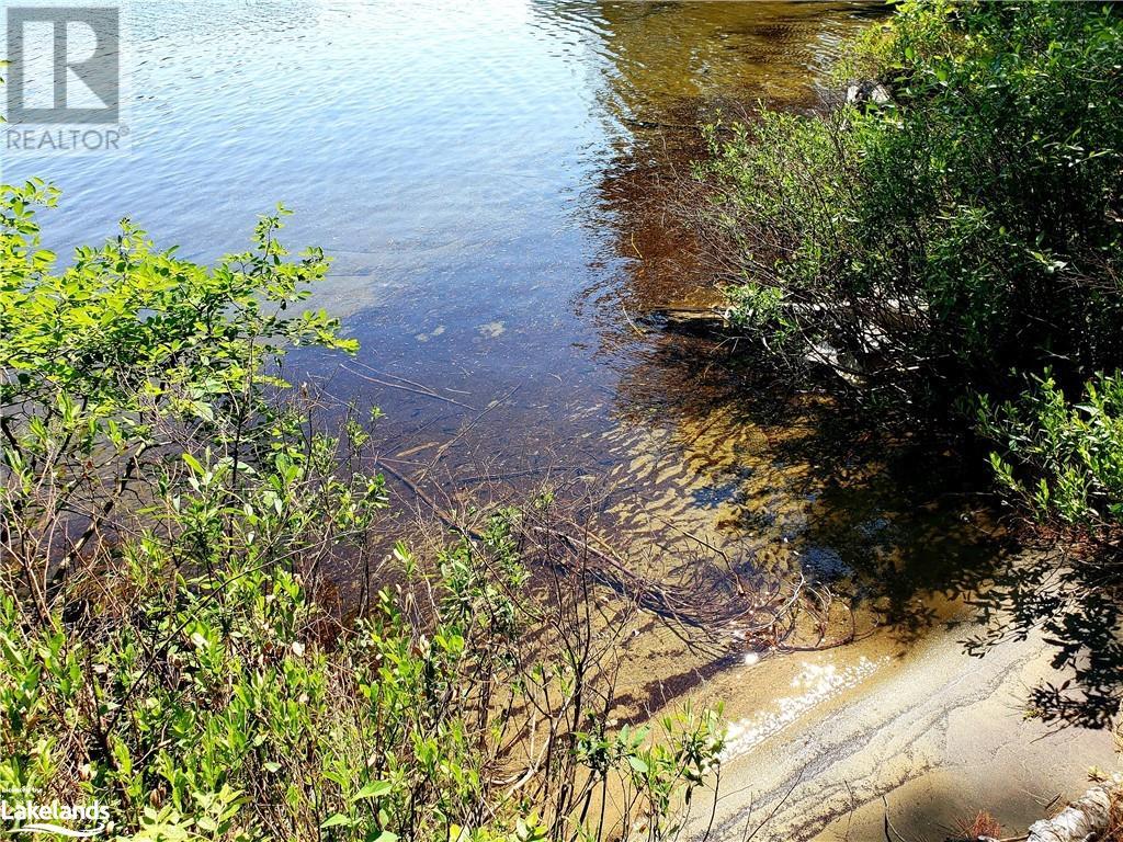 0 Bucktooth Island, Perry, Ontario  P0A 1J0 - Photo 37 - 40489832