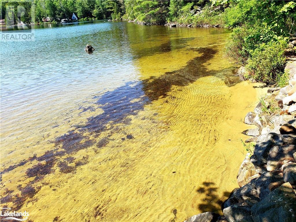 0 Bucktooth Island, Perry, Ontario  P0A 1J0 - Photo 42 - 40489832