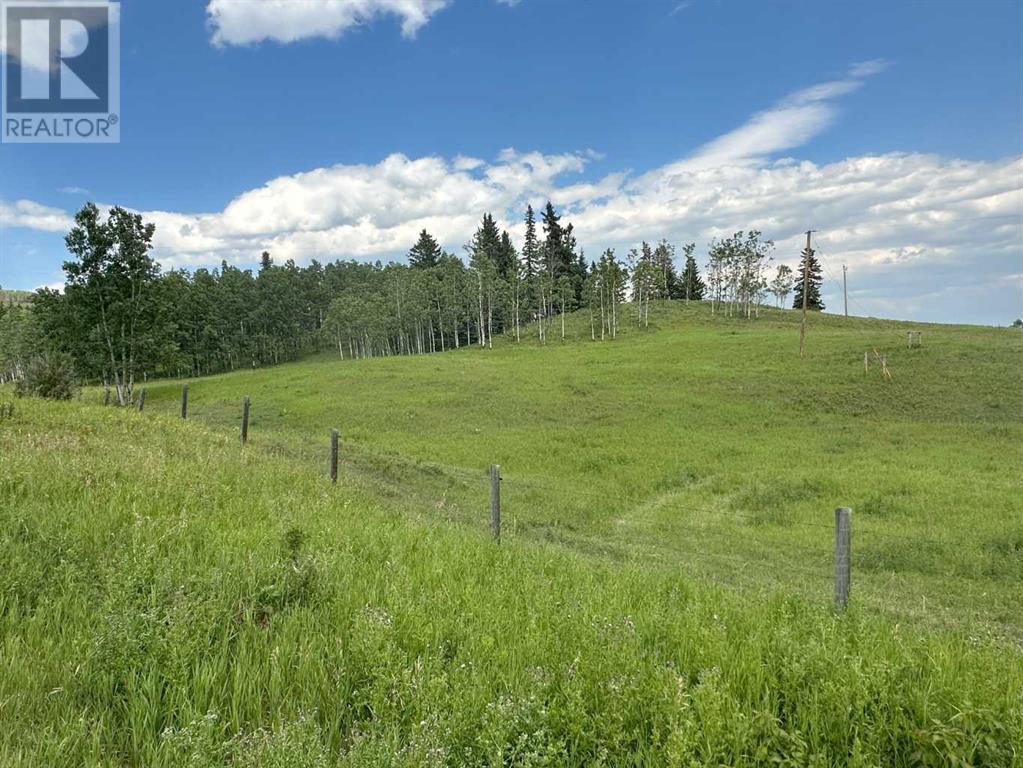 5 Ac Along 1280 Drive W, Rural Foothills County, Alberta  T0L 1K0 - Photo 16 - A2068487
