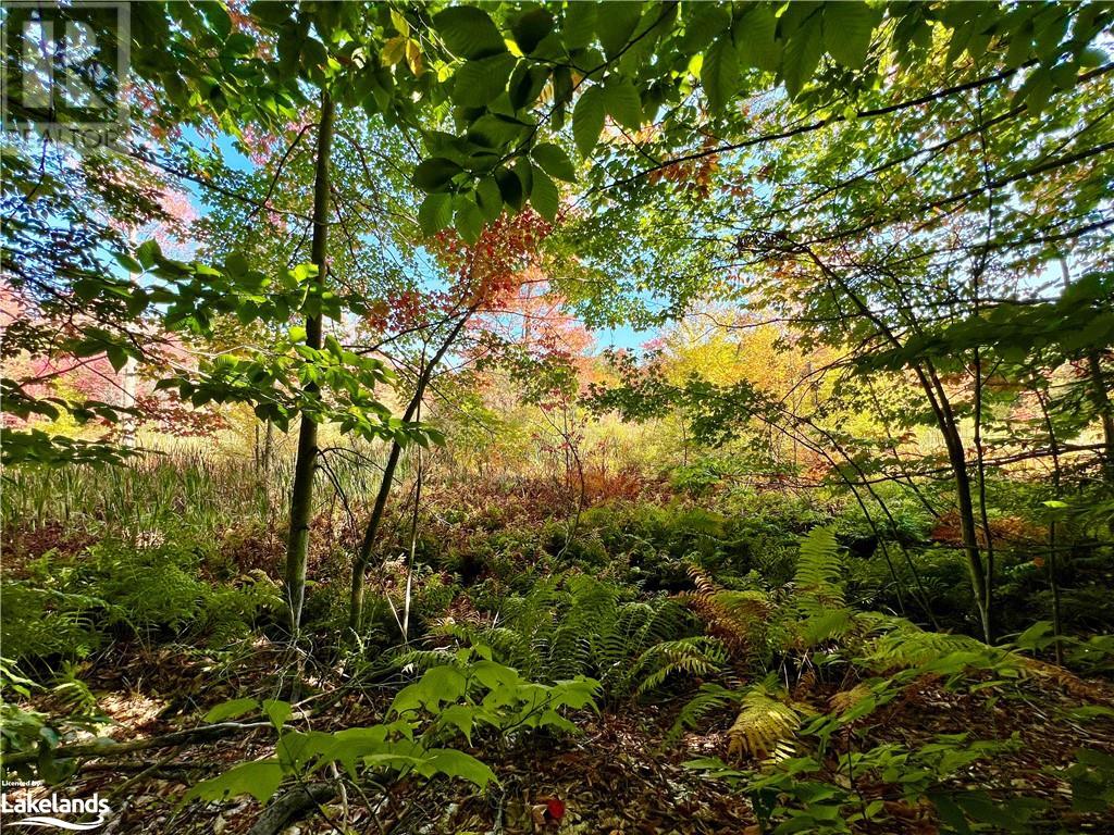 0 Acton Island Road, Muskoka Lakes, Ontario  P0B 1J0 - Photo 9 - 40492942