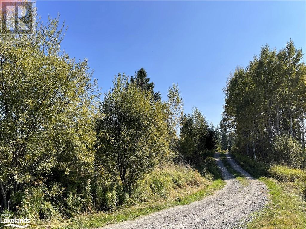 0 Clear Lake Road, Arnstein, Ontario  P0H 1A0 - Photo 8 - 40478653