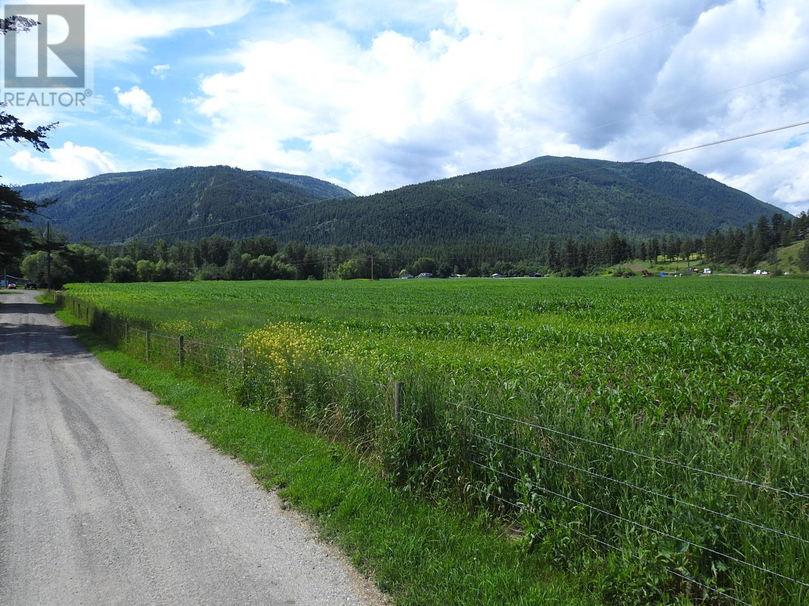 3807 Salmon River Road, Falkland, British Columbia  V0E 1W1 - Photo 41 - 10262008