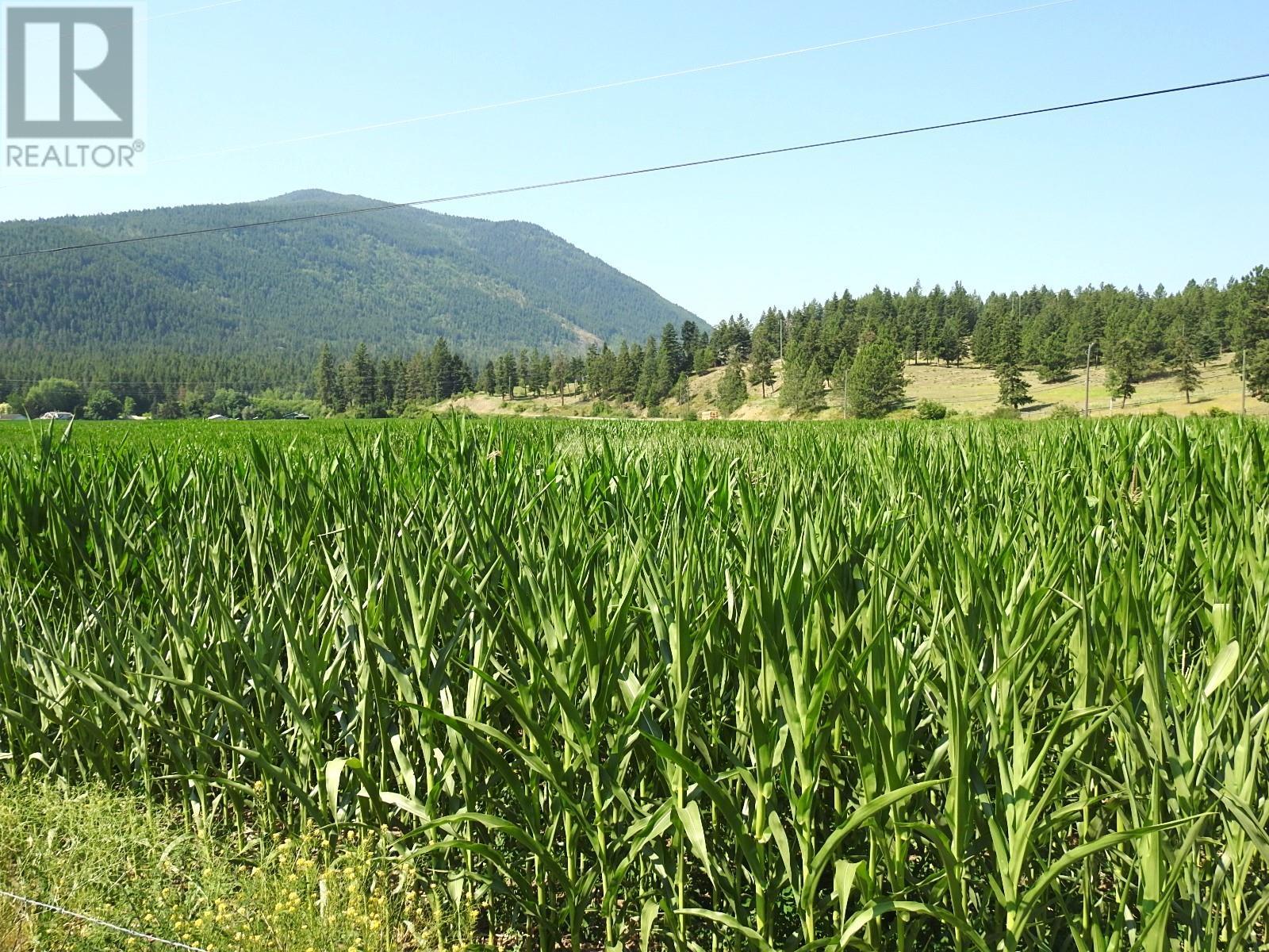 3807 Salmon River Road, Falkland, British Columbia  V0E 1W1 - Photo 12 - 10262008