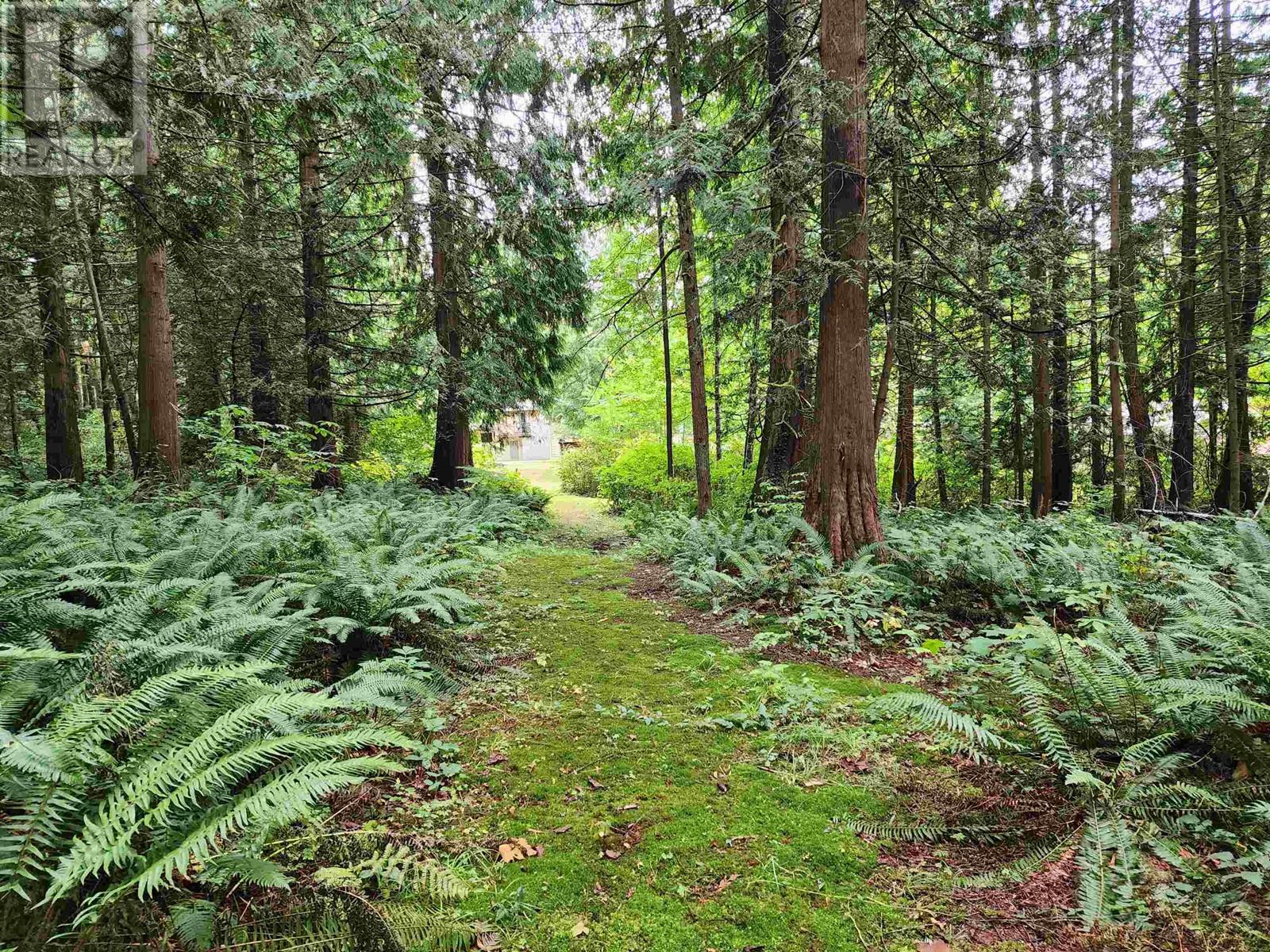 10075 Rolley Crescent, Maple Ridge, British Columbia  V2W 1J9 - Photo 23 - R2811058