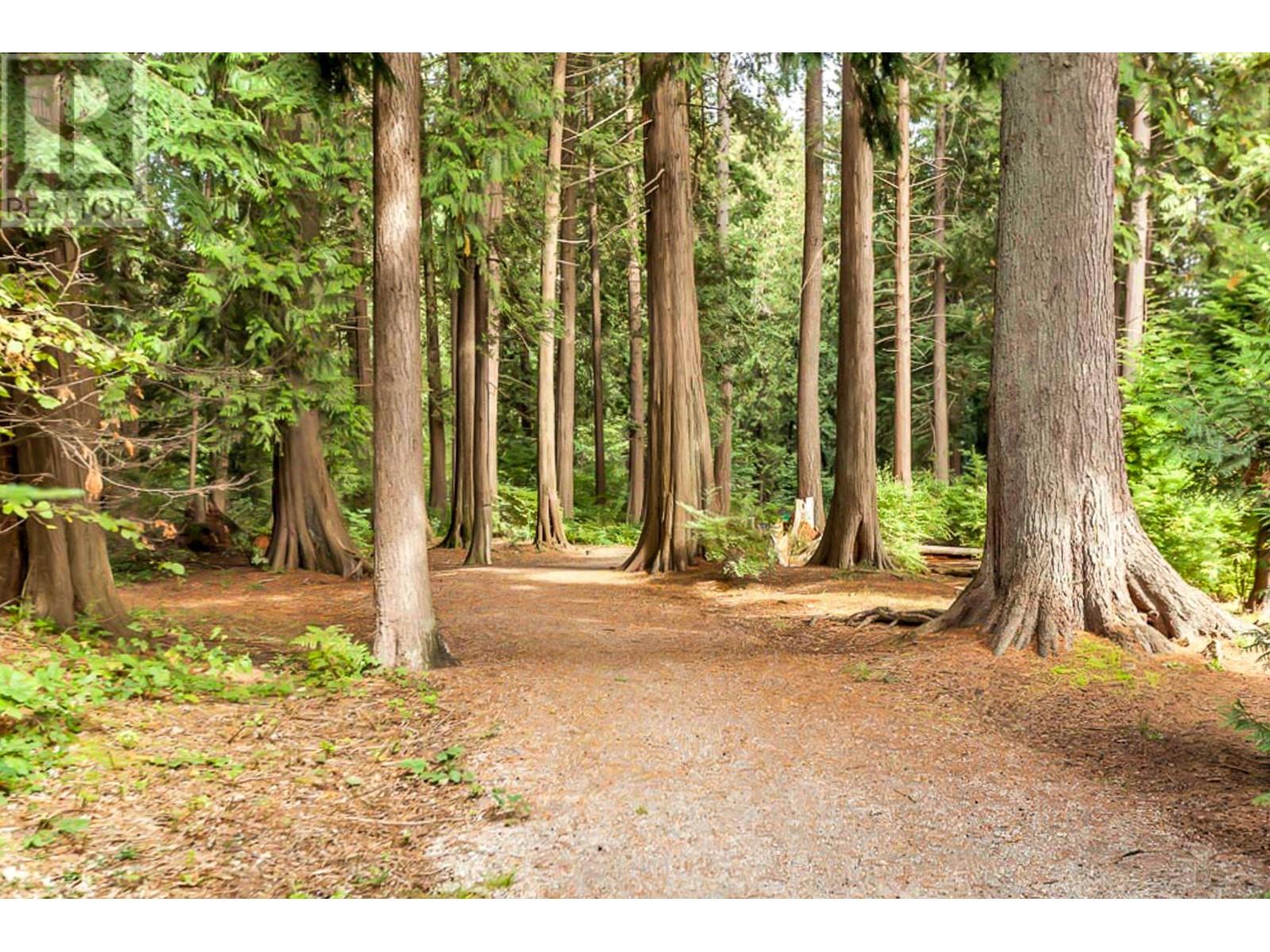 39 12268 189a Street, Pitt Meadows, British Columbia  V3Y 2M7 - Photo 34 - R2821204
