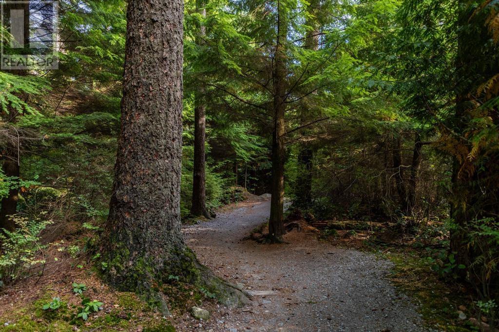 94 Hawthorn Drive, Port Moody, British Columbia  V3H 0C5 - Photo 34 - R2820911